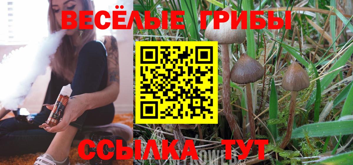 Галлюциногенные грибы GOLDEN TEACHER Пенза